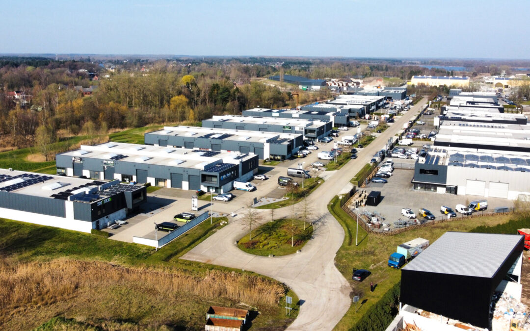 Rietkolk in Lommel